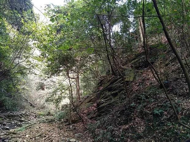 单间木屋逃脱