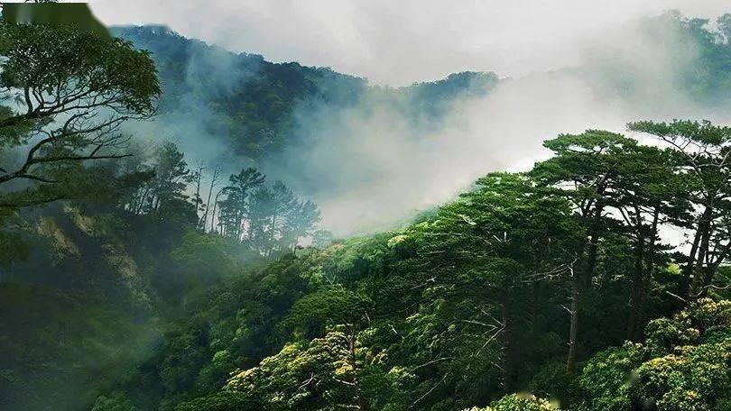 拆迁律师事务所的重要性:确保拆迁补偿及安置方案的合法性