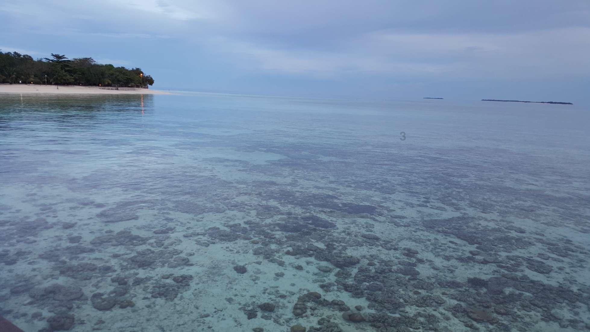 名流设计