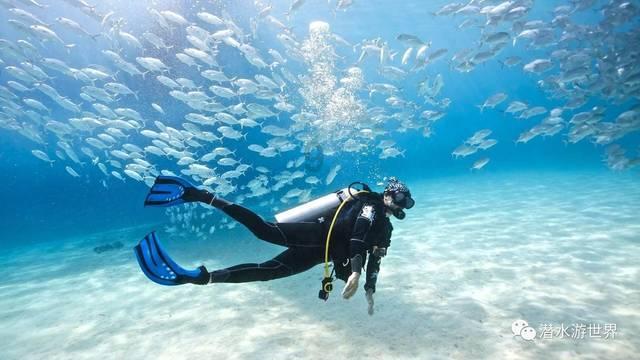 诚益通下跌5.01%,报10.61元/股