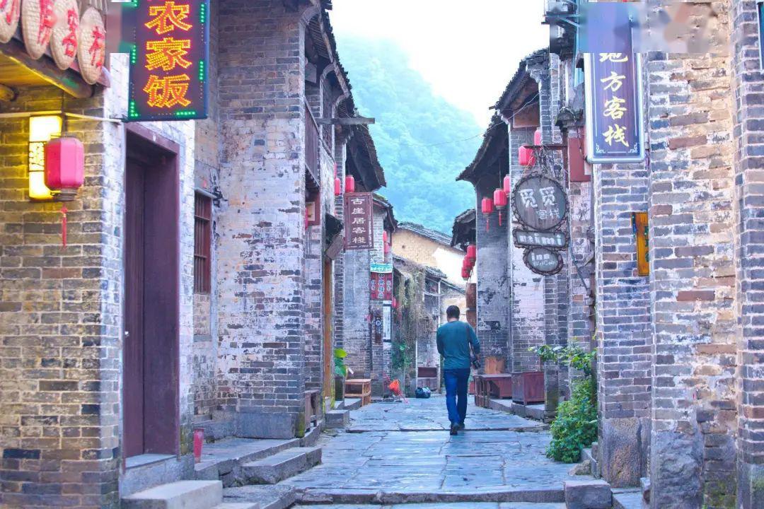 小猫钓鱼正版下载中文版