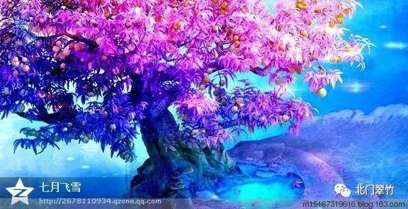 海底世界填颜色4